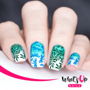 Whats Up Nails 美甲印花板 B029 Picnic in the Park