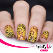 Whats Up Nails 美甲印花板 B053 That's Pretty Autumn!