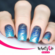 Whats Up Nails 美甲印花板 B002 Water Marble to Perfection